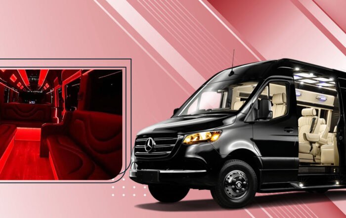 14 Passengers Sprinter Charter Limousine Service