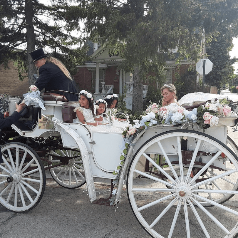 horse carriage services (1)